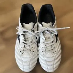 Item thumbnail for item 422509a9-c387-4613-9067-bd0c8325b5bf