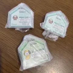 BT21 パッケージチャーム