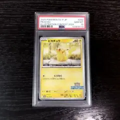 PSA10 ピカチュウ イラストレーションコンテスト 2024 ポケモン ポケカ