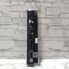 スケーター　スヌーピー　すぬうぴい　塗箸入り箸箱セット　19.5cm