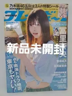 (新品)週刊プレイボーイ 2024年9月2日号