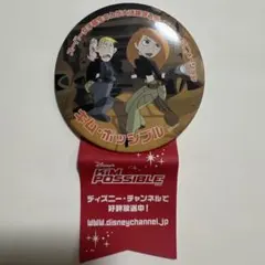 2026年最新】Kim Possibleの人気アイテム - メルカリ