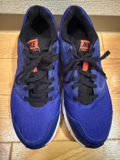 Nike ランニングシューズ ブルー