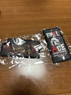 棚橋弘至 スポーツ選手