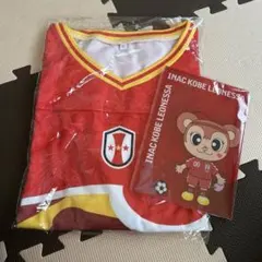 INAC KOBE LEONESSA Lサイズ シャツ　クリアファイルのサムネイル