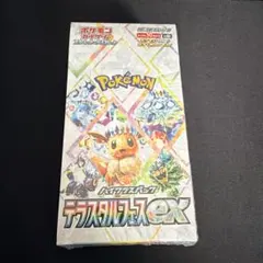2026年最新】テラスタルフェス boxの人気アイテム - メルカリ