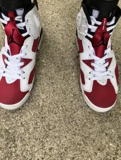 Nike Air Jordan 6 Retro Carmine 27.5cmのサムネイル