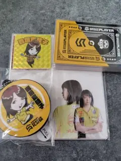 DARTSLIVE PLAYER GOODS 森田真結子選手セット（カードなし）