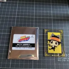 家庭教師ヒットマンREBORN! 修業風景ver. アクリルカード リボーンのサムネイル