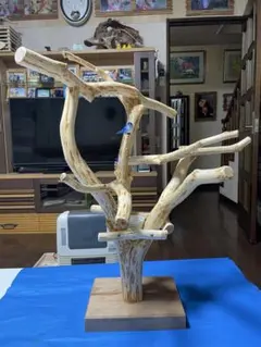 Item thumbnail for item 38c58bea-fad7-461e-9e8e-139a19306ce5