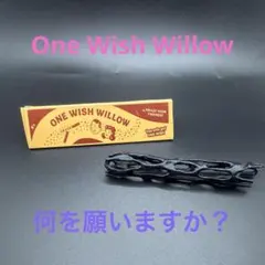 ワン・ウィッシュ・ウィロー オブセッション Obsession 映画　願い 災愛