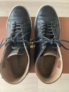 Item thumbnail for item d2ed80dd-d189-402c-a0d7-434059566466