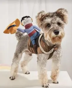 Item thumbnail for item 2ceff4c1-0e5c-4caa-ae37-f6a9c17b0f0c