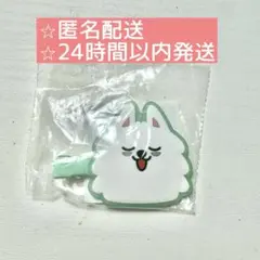 txt プルバトゥ カプセルトイ ヨンモン ヘアクリップ