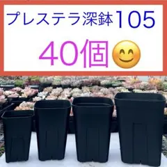 F③【プレステラ105深鉢・３号ロング鉢】ブラック４０個★