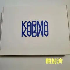 straykids スキズ　アルバム　karma 通常盤　開封済み