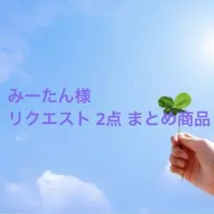 みーたん様 リクエスト 2点 まとめ商品