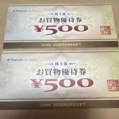 ヤマダ電機. お買物優待券 1000円分