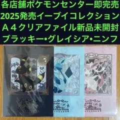 B A4クリアファイル ブラッキー・グレイシア・ニンフィア イーブイコレクション