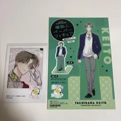 多聞くん今どっち！？ 橘敬人 ミニフォトカード ペーパーフィギュア