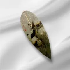 Item thumbnail for item 83349068-8910-4a00-bb06-ec3d8c57fedd