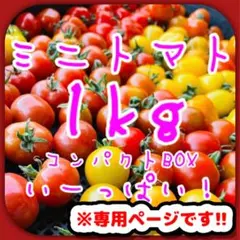 PONTACHAN様専用ページです。