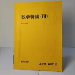 数学特講（夏期）と数学特講（冬期）　米村先生 貴重】駿台 数学ZX テキスト 米村明芳,プリント 三森司,数学特講III