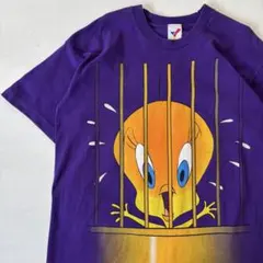 USA製 90s ルーニーテューンズ Tシャツ シルベスター トゥイーティー 紫 USA製 90s ルーニーテューンズ Tシャツ シルベスター トゥイーティー