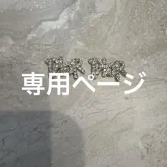 専用ページ