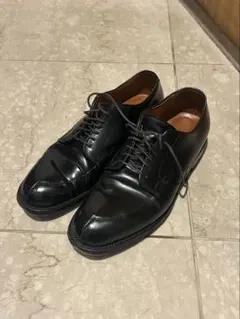 2026年最新】alden Vチップ コードバンの人気アイテム - メルカリ