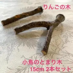 Item thumbnail for item 84297aed-c091-4cd5-92a2-738739fb9e10