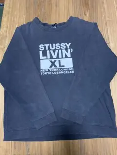 90s Old Stussy オールドステューシー　スウェット　炭黒