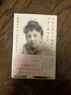 ストーリー・オブ・マイ・キャリア