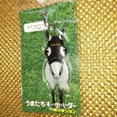 2026年最新】ゴールドシップ 競馬の人気アイテム - メルカリ