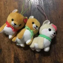 専用です。豆しば三兄弟　フルーツマスコット