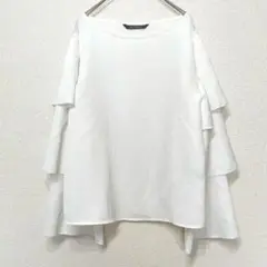 【美品】BLUE STRIVE フレアスリーブ　シアーシャツ　ブラウス　シャツ