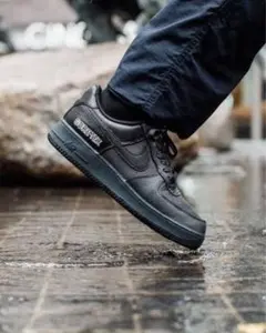 Nike Air Force 1 GORE-TEX ブラック