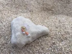 珊瑚（希少　天然物　色染め無し） 淡水パール 小さめハンドメイド ピアス