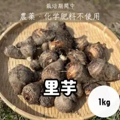 【農薬・化学肥料不使用】里芋 1kg