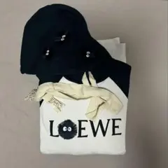 2025年最新】LOEWE 柄・デザイン：刺繍 メンズ パーカーの人気アイテム