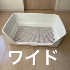 Item thumbnail for item f81e8831-8a19-41e0-bb93-9dac4c211d85