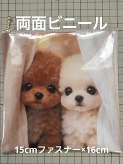 Item thumbnail for item 7d8be0ee-8e09-40b2-8ea4-8e4f04e88099