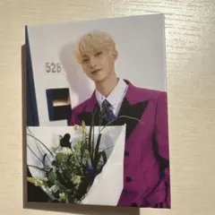 SEVENTEEN ドギョム トレカ ミニフォトブック