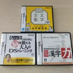 3本セット カンペキ漢字力 みんなのDSゼミナール