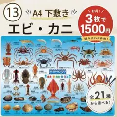 2026年最新】エビ カニの人気アイテム - メルカリ