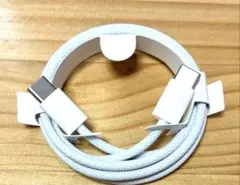 Apple 純正 ケーブル Type-C to Type-C A2795