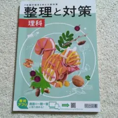 Item thumbnail for item 518d2db7-0747-47b5-9ca5-4b2a168b4250