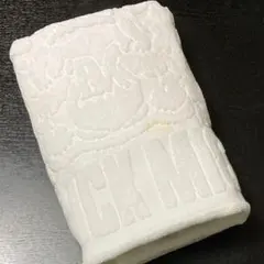 Item thumbnail for item 9c1f50f9-497d-4227-97d9-d93d2f8380ac