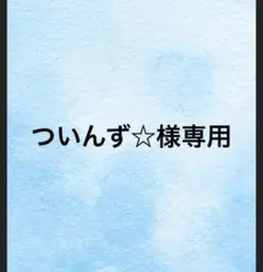 ついんず☆様専用　Lサイズのサムネイル