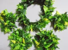 フラダンス ハクレイ/レイポウ+クーペエ 5個セット